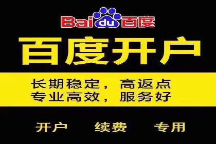 高效百度推广案例解析及优化策略